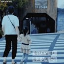 어머님이 하소연한 부산의 한 횡단보도.GIF 이미지