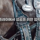 와일드PC 이미지