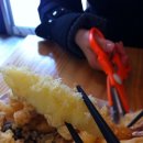 고니지니 이미지