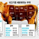 웅천공인중개사사무소 이미지