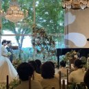 미나축사 이미지