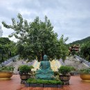 (유)본렌터카 이미지