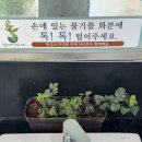 동부산팜 | 김해공항 주차 및 셔틀버스, 김해공항 바이오정보 셀프등록대, 면세품 인도장, 이스타항공, 팜 베이 리조트