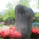 04/20. 순천시 왕지공원 주변 산책 이미지