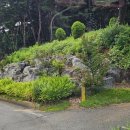 광덕사약수터 이미지