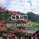 한일우호관 주차장 이미지