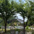 산골메밀묵집 이미지