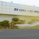 화신(언하동)