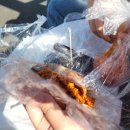 욕지도 할매바리스타 이미지