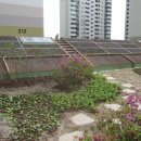 아림키즈어린이집 이미지