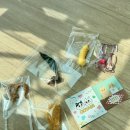 고야미 | 고양이 장난감 추천 - ‘고야미’ 낚시대 리필 (#찐강추 #내돈내산)