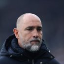 팰리스 독 이미지