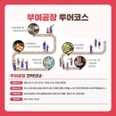 부여홍삼수삼