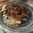 더크립24 이미지