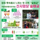 국립대관령치유의숲 이미지