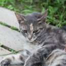 소금강펜션 이미지