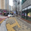 김해 강아지분양 두부네 하루 이미지