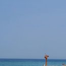 해변여행횟집 이미지