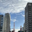 모토포럼컨벤션 | 일본미용외과학회방문 후기