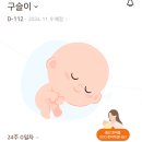 하비&화인나 | 임신 24주 배크기 25주 입체초음파 임당검사 통과 엄청난 태동 다리붓기빼기 불면증