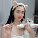 [캣디피 고양이 치석제거기] 고양이 스케일링 비용 비교 및 셀프 치석 케어 도전 후기