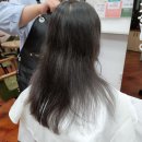 벌크커피(화정힐스테이트점)