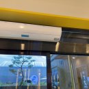 옐레드 애견유치원 & 애견호텔 진주초전점 이미지