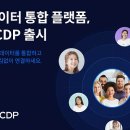 빅인사이트