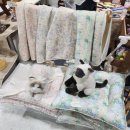 오 마이 캣 | 2025 궁디팡팡 캣페스타 SETEC 궁팡 쇼핑 후기