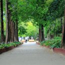 파리장서비 이미지