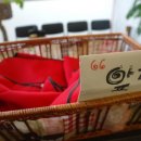 여주(강릉) 이미지