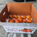 [보시 바라밀] 2025년 11월 셋째 주 공양물 보시자 이미지