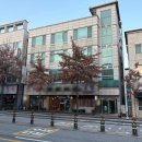 원주봉화산공인중개사사무소 | 원주 무실동 상가주택 매매, 메인도로 수익형 건물