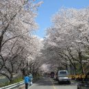 구례 하천산(荷川山 692.3m) 이미지