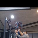 바디팰리스짐 이미지