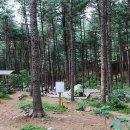 호명산잣나무숲캠핑장 이미지