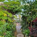 가족카페 너른마루 | 제천 카페너른 - 주차 메뉴 제천카페 제천청풍호카페 제천대형카페추천