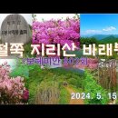 철쭉꽃 지리산 바래봉(3)＜유투브동영상＞ 이미지