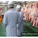 으뜸축산 이미지