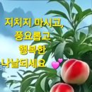 행복한나날