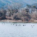 갤러리카페강변풍경 | 남양주 북한강뷰 카페 로이테 물의정원 근처 베이커리 카페