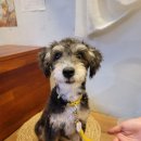 그냥좋은카페 이미지