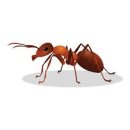 이서아빠해충방역