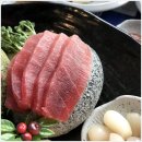 붉은참치