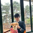 스카이 애견 | 춘천 결혼식장 스카이컨벤션 후기 + 현지인 추천 학곡리닭갈비 + 애견동반카페 금베이숲까지!