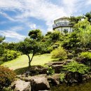 허브디톡스 이미지