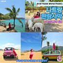 베트남 나트랑 가족 여행 판랑사막투어 추천 7월 날씨 우기 건기