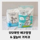 모모의여름 | 아기 여름기저귀 모모래빗 에코씽씽 물놀이 기저귀 29개월 착용 후기