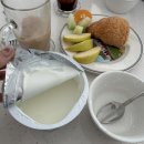 동양목장 | 매일 상하목장 유기농 그릭요거트 무가당 플레인 후기