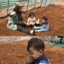 태오농장 이미지